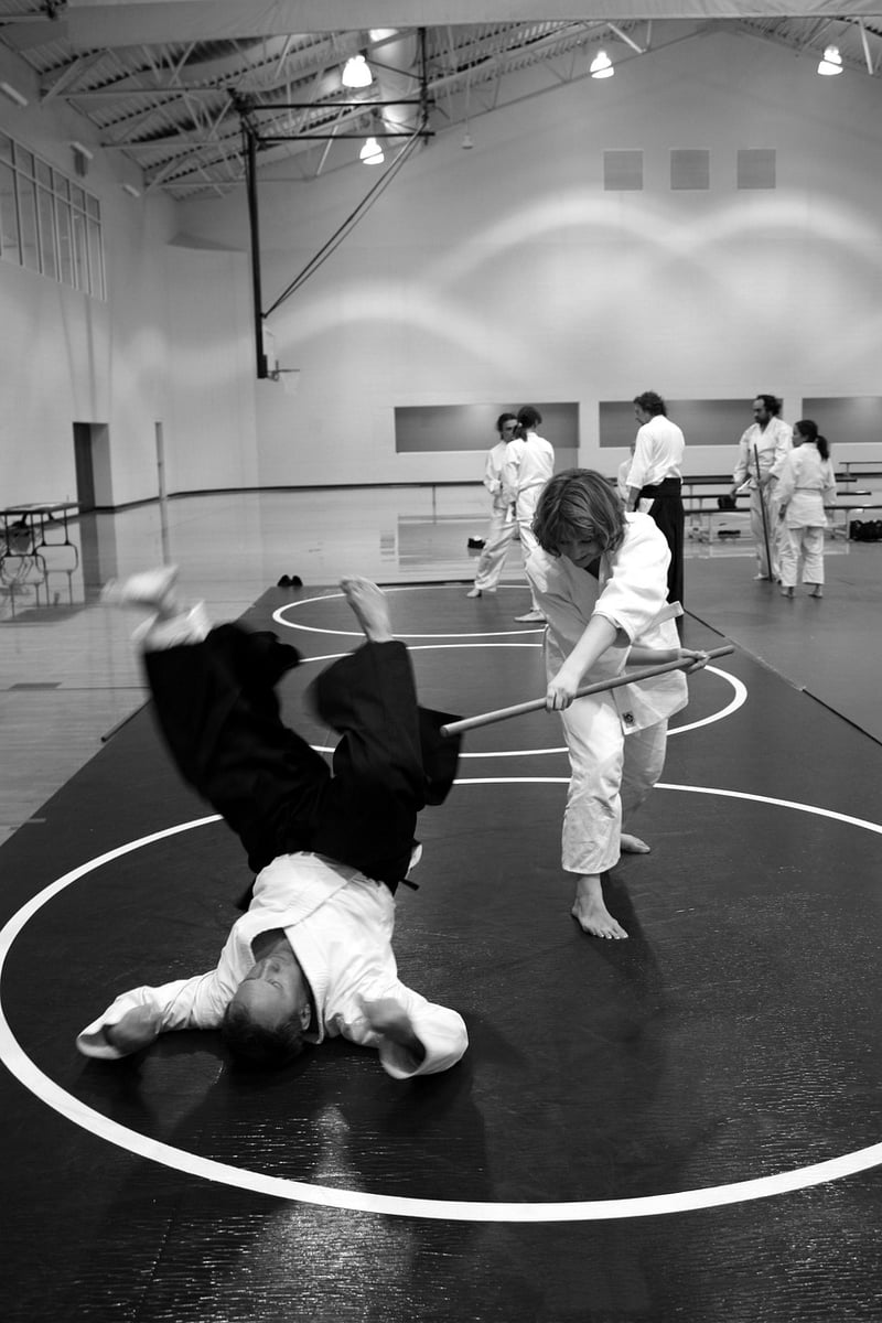 Sun Style Martial Arts